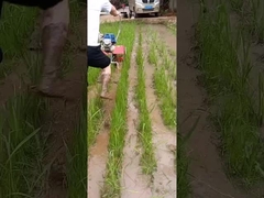 Многофункциональная полольщица